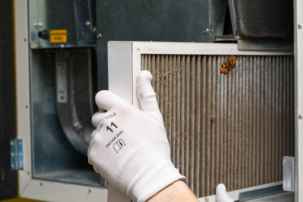 Best Professional Duct Cleaning Services  in Wewa, OK